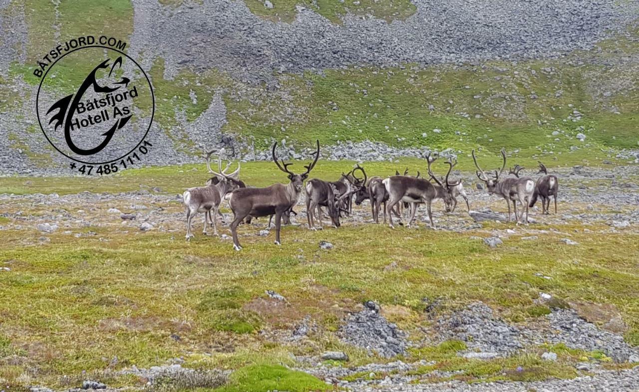 Batsfjord Smarthotell Exteriör bild